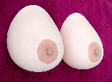 wp3471e025.png