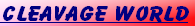 wped4e5c3c.png